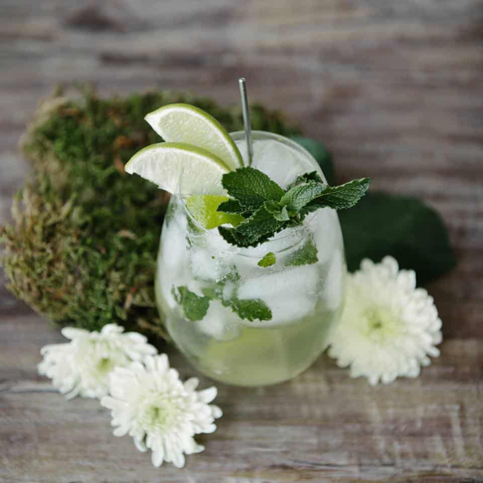 Apple juice, lime and mint cocktail
