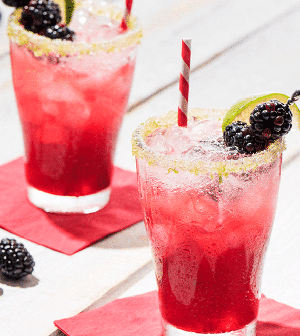 Cranberry-Blackberry Spritzer