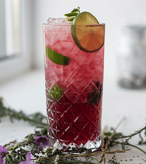 Pomegranate Mint Mojitos