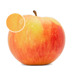 honeycrisp